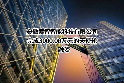 安徽索智智能科技有限公司