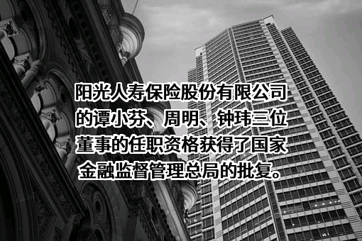 阳光人寿保险股份有限公司