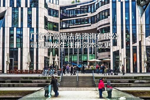 广东省富猫法务咨询有限公司