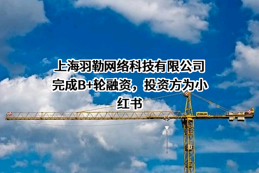 上海羽勒网络科技有限公司