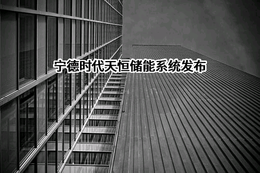 宁德时代新能源科技股份有限公司