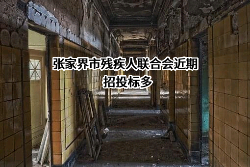 张家界市残疾人联合会