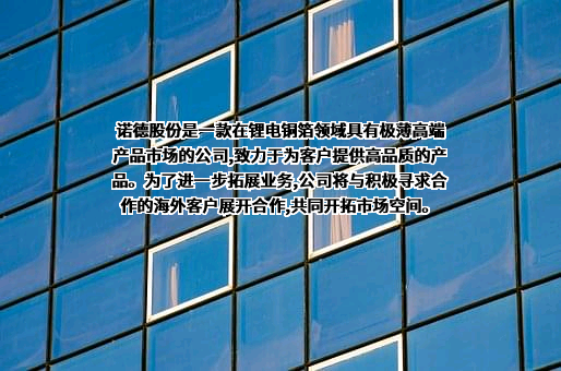 诺德新材料股份有限公司