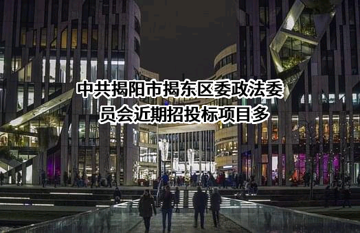 中共揭阳市揭东区委政法委员会