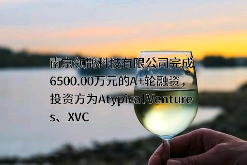 南京领鹊科技有限公司