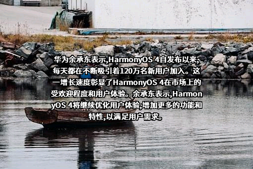 华为技术有限公司