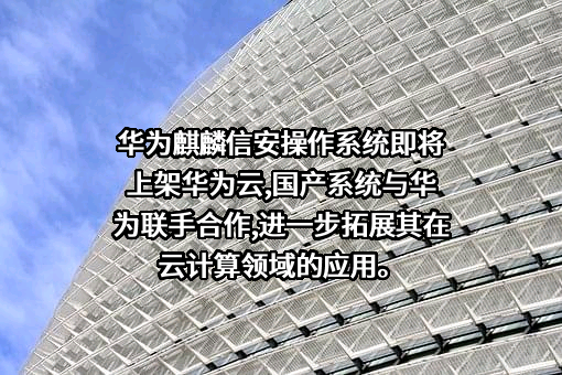 华为技术有限公司