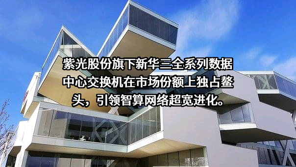紫光股份有限公司