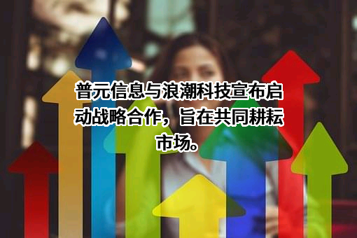海南浪潮信息技术有限公司