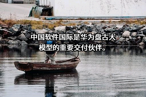 中软国际股份有限公司