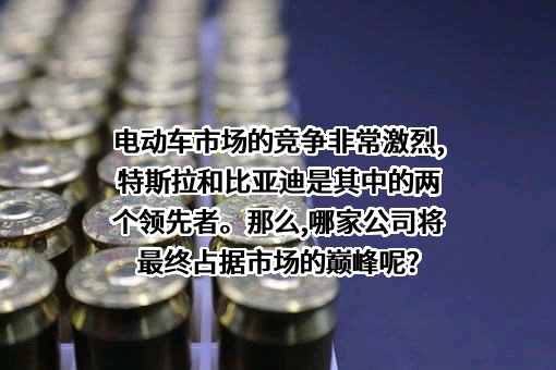 特斯拉（上海）有限公司