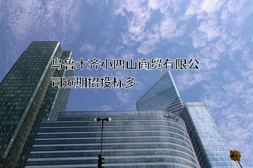 乌鲁木齐小四山商贸有限公司