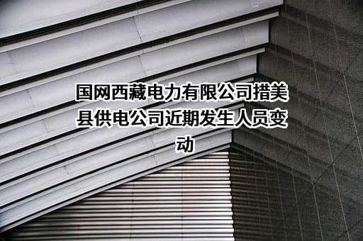 国网西藏电力有限公司措美县供电公司近期发生人员变动