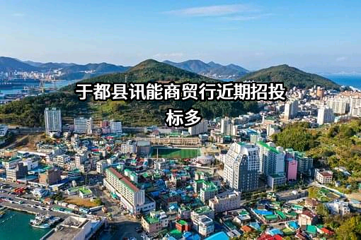 于都县讯能商贸行
