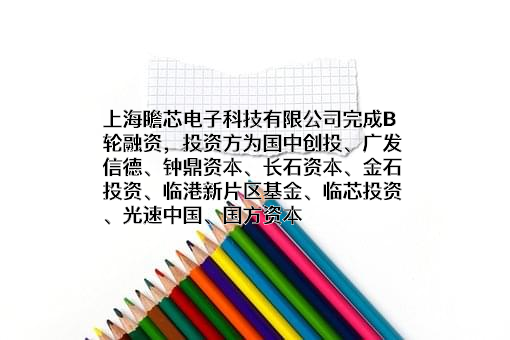 上海瞻芯电子科技有限公司