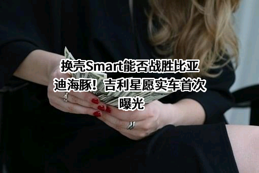 换壳Smart能否战胜比亚迪海豚！吉利星愿实车首次曝光