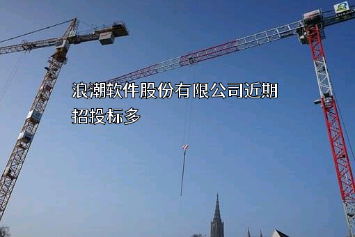 浪潮软件股份有限公司