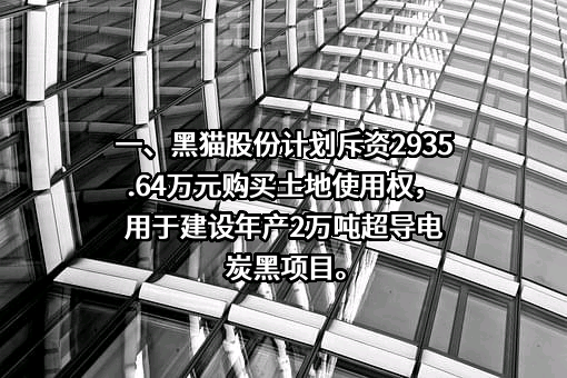 江西黑猫纳米材料科技有限公司