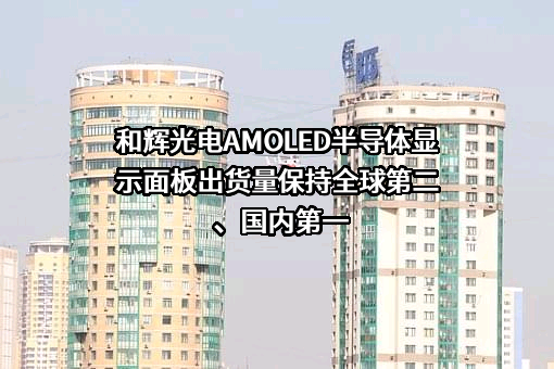 上海和辉光电股份有限公司