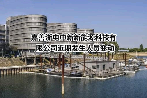 嘉善浙电中新新能源科技有限公司