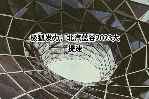 北京新能源汽车股份有限公司