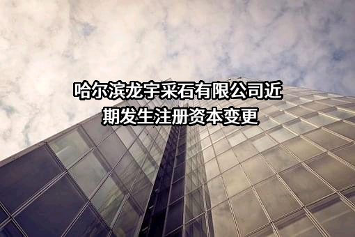 哈尔滨龙宇采石有限公司
