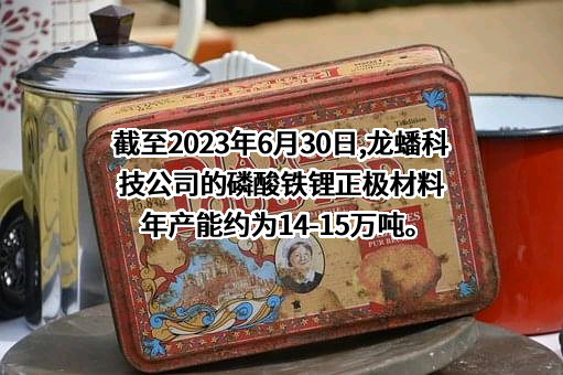 江苏龙蟠科技股份有限公司