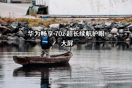 华为技术有限公司