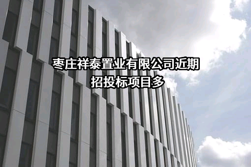 枣庄祥泰置业有限公司