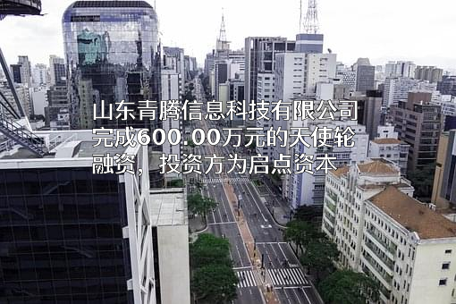 山东青腾信息科技有限公司