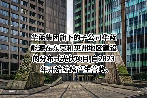 华蓝集团股份公司