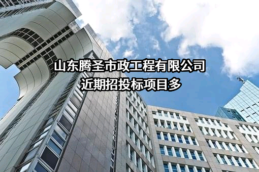 山东腾圣市政工程有限公司