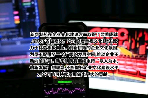 山东新华制药股份有限公司