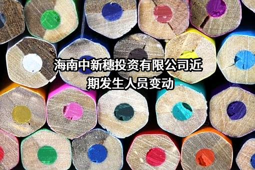 海南中新穗投资有限公司