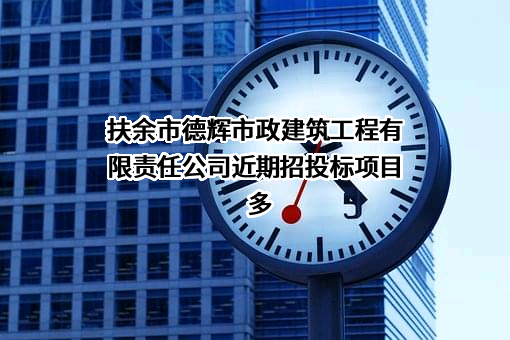 扶余市德辉市政建筑工程有限责任公司