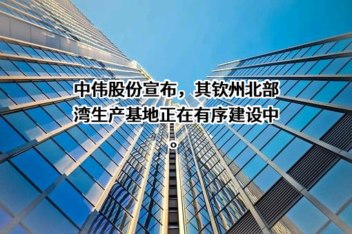 中伟新材料股份有限公司