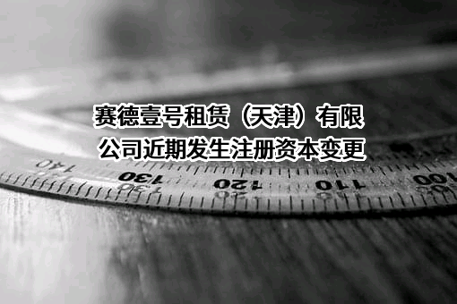 赛德壹号租赁（天津）有限公司