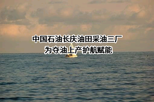 中国石油天然气股份有限公司