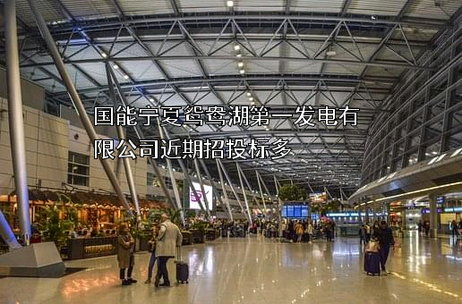 国能宁夏鸳鸯湖第一发电有限公司近期招投标项目多