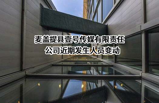 麦盖提县壹号传媒有限责任公司