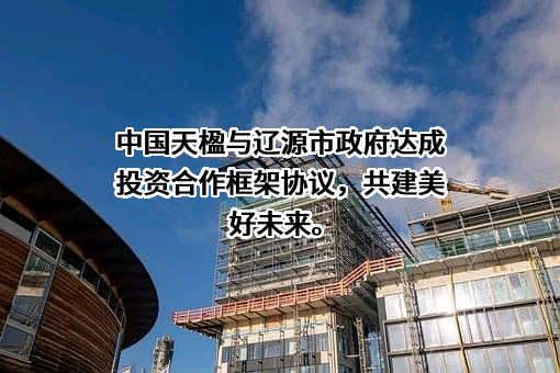 中国天楹股份有限公司