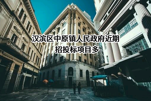 汉滨区中原镇人民政府近期招投标项目多