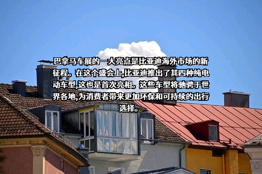 比亚迪股份有限公司