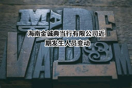海南金诚典当行有限公司