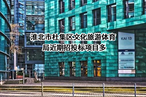 淮北市杜集区文化旅游体育局近期招投标项目多