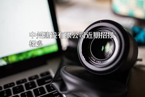 中州建设有限公司