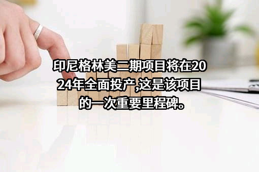 格林美股份有限公司
