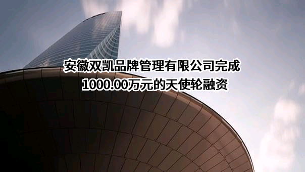 安徽双凯品牌管理有限公司完成1000.00万元的天使轮融资