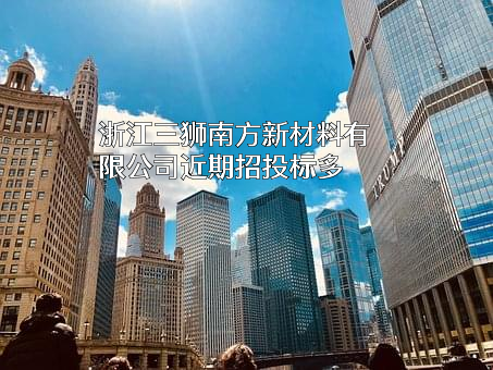 浙江三狮南方新材料有限公司