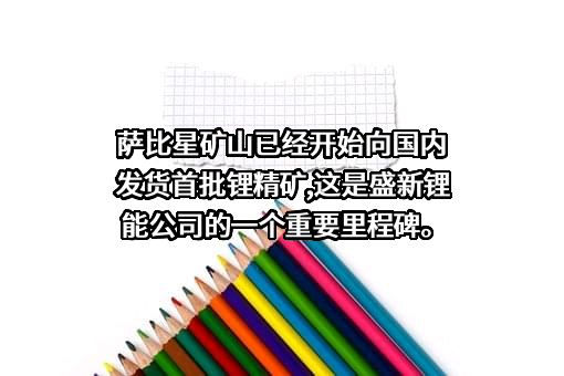 盛新锂能集团股份有限公司